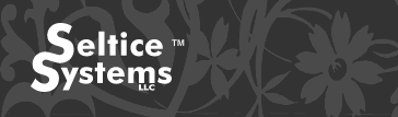 Seltice Systems LLC - Web Services Provider